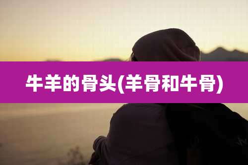 牛羊的骨头(羊骨和牛骨)
