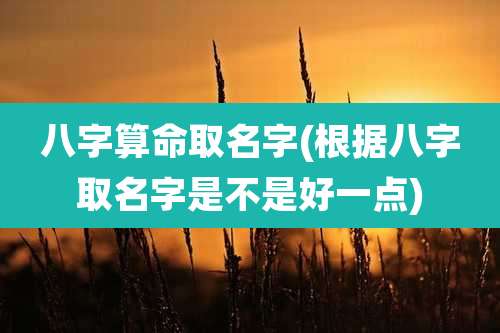 八字算命取名字(根据八字取名字是不是好一点)