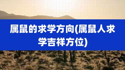属鼠的求学方向(属鼠人求学吉祥方位)