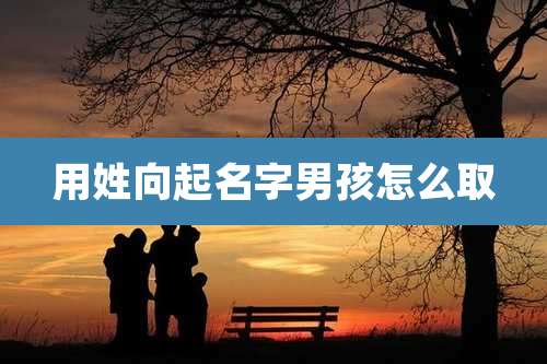 用姓向起名字男孩怎么取