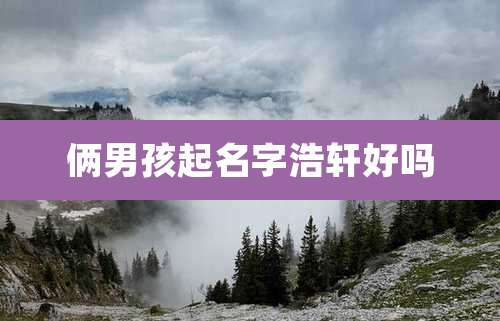 俩男孩起名字浩轩好吗