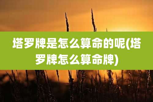 塔罗牌是怎么算命的呢(塔罗牌怎么算命牌)