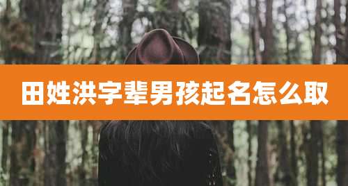 田姓洪字辈男孩起名怎么取