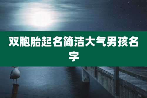 双胞胎起名简洁大气男孩名字