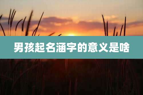 男孩起名涵字的意义是啥