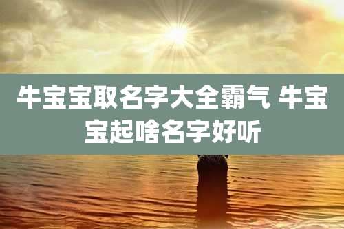 牛宝宝取名字大全霸气 牛宝宝起啥名字好听