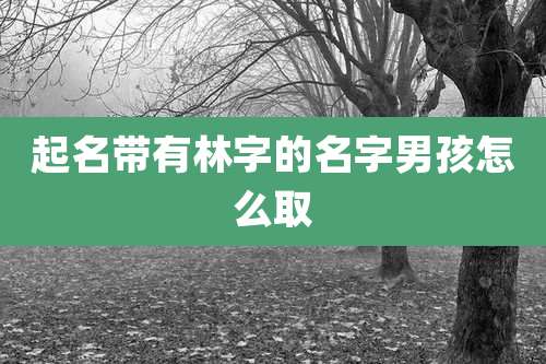 起名带有林字的名字男孩怎么取