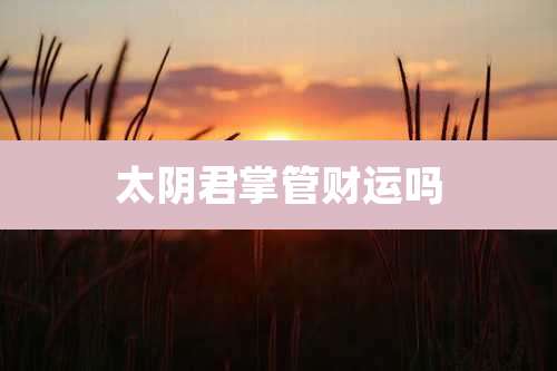 太阴君掌管财运吗