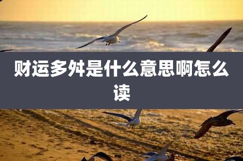 财运多舛是什么意思啊怎么读
