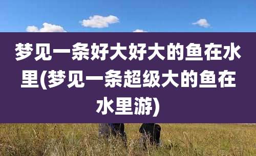 梦见一条好大好大的鱼在水里(梦见一条超级大的鱼在水里游)
