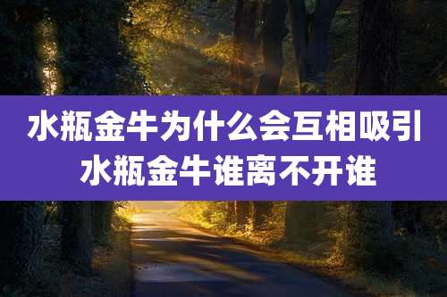 水瓶金牛为什么会互相吸引 水瓶金牛谁离不开谁