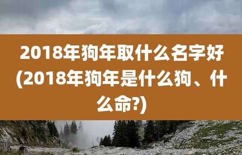 2018年狗年取什么名字好(2018年狗年是什么狗、什么命?)