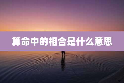 算命中的相合是什么意思