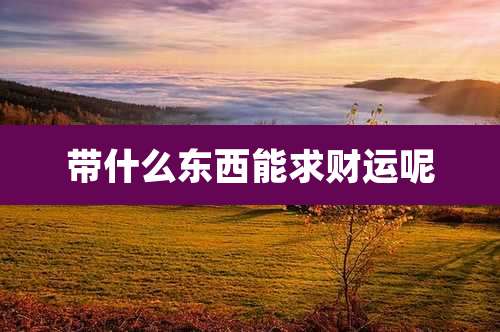 带什么东西能求财运呢