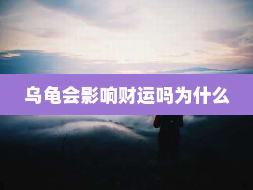 乌龟会影响财运吗为什么