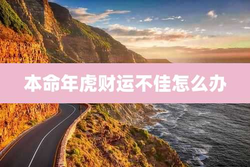 本命年虎财运不佳怎么办