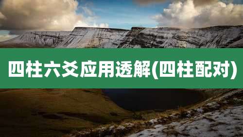 四柱六爻应用透解(四柱配对)