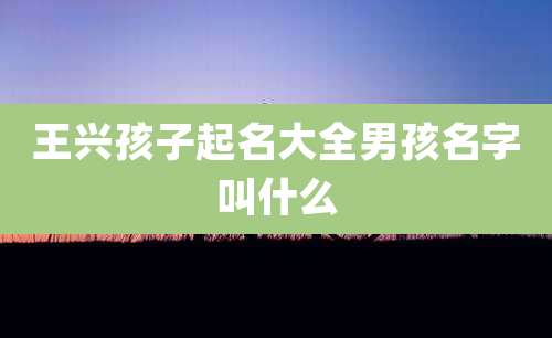 王兴孩子起名大全男孩名字叫什么
