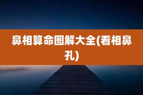 鼻相算命图解大全(看相鼻孔)