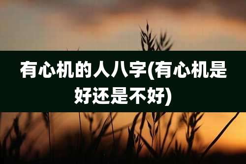 有心机的人八字(有心机是好还是不好)