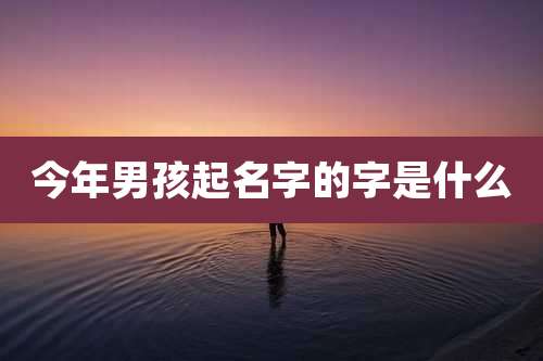 今年男孩起名字的字是什么
