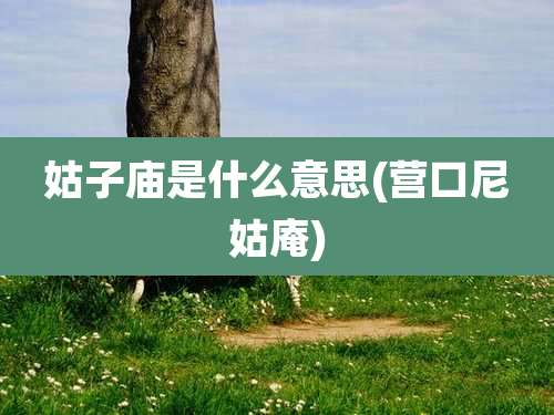 姑子庙是什么意思(营口尼姑庵)