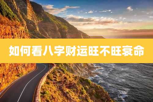 如何看八字财运旺不旺衰命