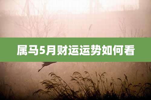 属马5月财运运势如何看