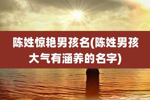陈姓惊艳男孩名(陈姓男孩大气有涵养的名字)
