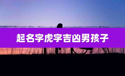 起名字虎字吉凶男孩子