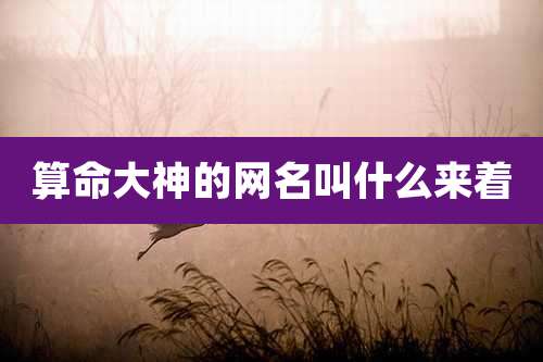 算命大神的网名叫什么来着