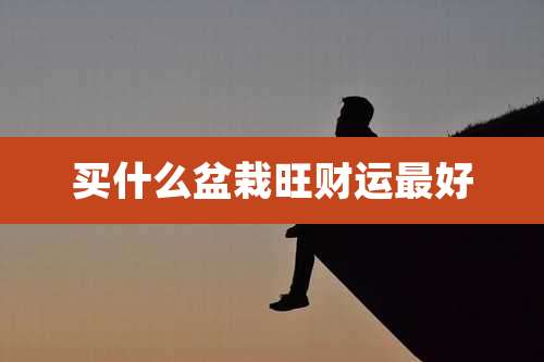 买什么盆栽旺财运最好