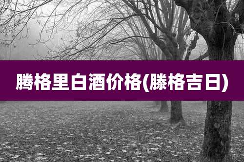 腾格里白酒价格(滕格吉日)