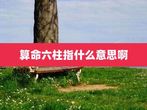 算命六柱指什么意思啊