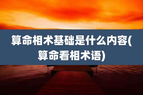 算命相术基础是什么内容(算命看相术语)
