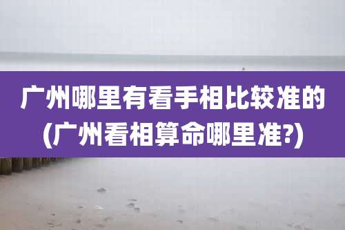 广州哪里有看手相比较准的(广州看相算命哪里准?)