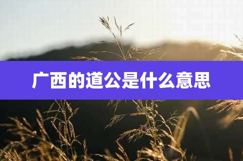 广西的道公是什么意思