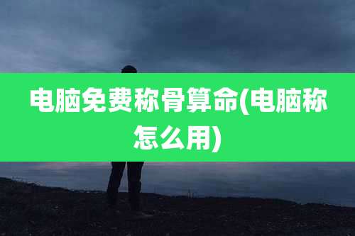 电脑免费称骨算命(电脑称怎么用)