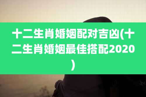 十二生肖婚姻配对吉凶(十二生肖婚姻最佳搭配2020)