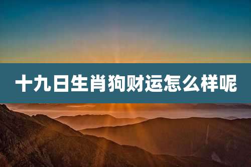 十九日生肖狗财运怎么样呢