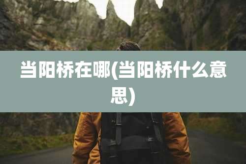 当阳桥在哪(当阳桥什么意思)