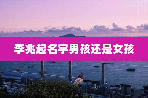 李兆起名字男孩还是女孩