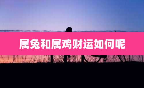 属兔和属鸡财运如何呢
