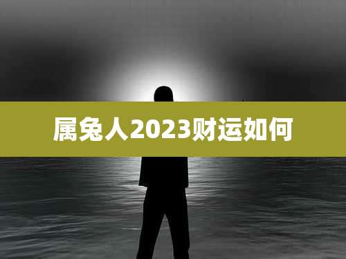 属兔人2023财运如何