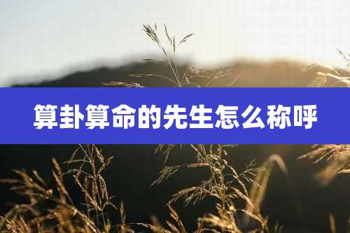 算卦算命的先生怎么称呼