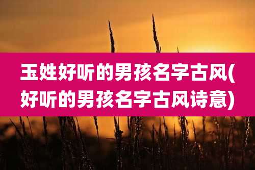 玉姓好听的男孩名字古风(好听的男孩名字古风诗意)