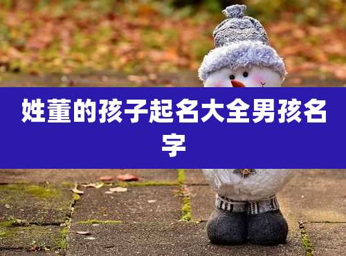 姓董的孩子起名大全男孩名字