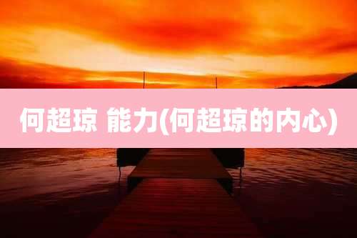 何超琼 能力(何超琼的内心)