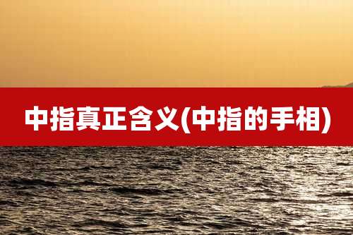中指真正含义(中指的手相)