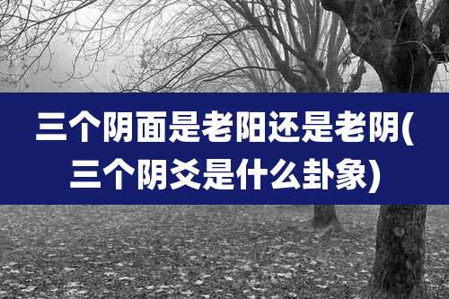三个阴面是老阳还是老阴(三个阴爻是什么卦象)